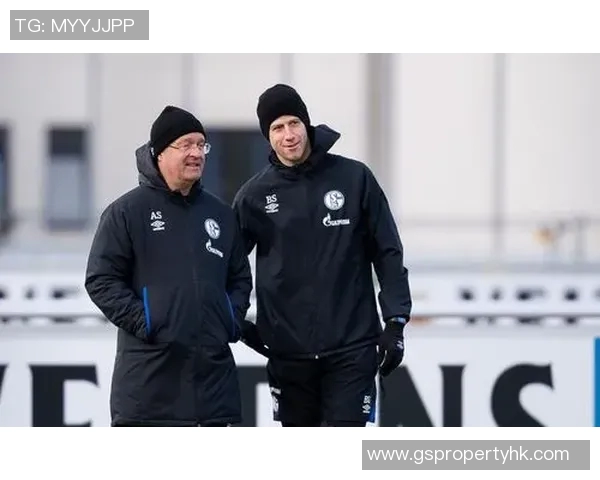 沙尔克04中场大升级，全力冲击欧冠资格