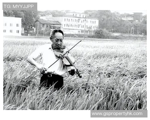 袁隆平与姚明的工资对比揭示了中国体育与农业的不同价值观与社会地位